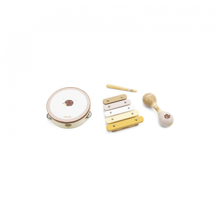 Set muzical - Arici, PolarB Viga [2]