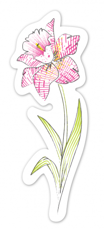 Set pictura cu apa - semne de carte Flori, colectia Creatii Naturale [9]