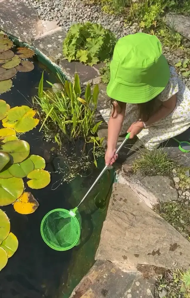 Setul micutului explorator [2]