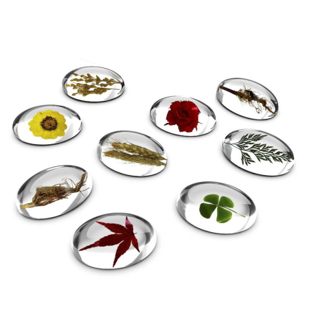 Specimen Stones, pietre din acril cu plante, Guidecraft [4]