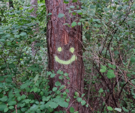 Spray Creta NEO  – albastru, 150 ml [8]