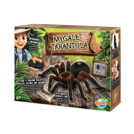 Noutati - Tarantula R/C