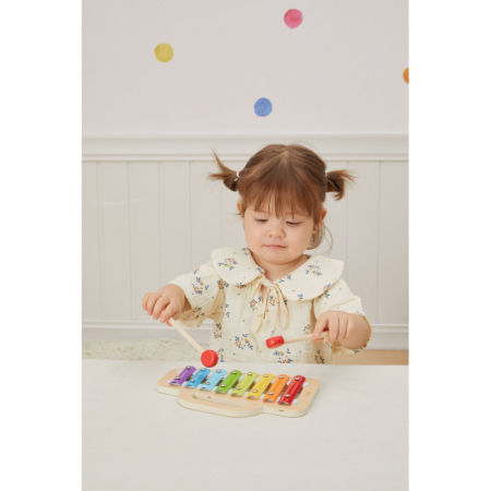 Xilofon din lemn colorat, Viga [5]