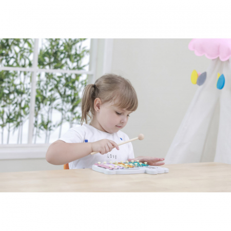 Xilofon PolarB, Viga [6]