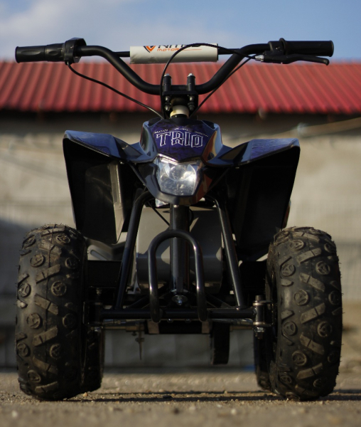 Mini ATV electric Pentru copii NITRO Eco Trio Quad 350W 24V #Albastru [2]