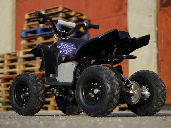 Mini ATV electric Pentru copii NITRO Eco Trio Quad 350W 24V #Albastru [4]