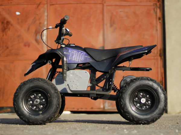 Mini ATV electric Pentru copii NITRO Eco Trio Quad 350W 24V #Albastru [6]