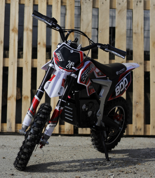 Mini Motocicleta Eco Ghepard 500W 24V #Rosu [4]