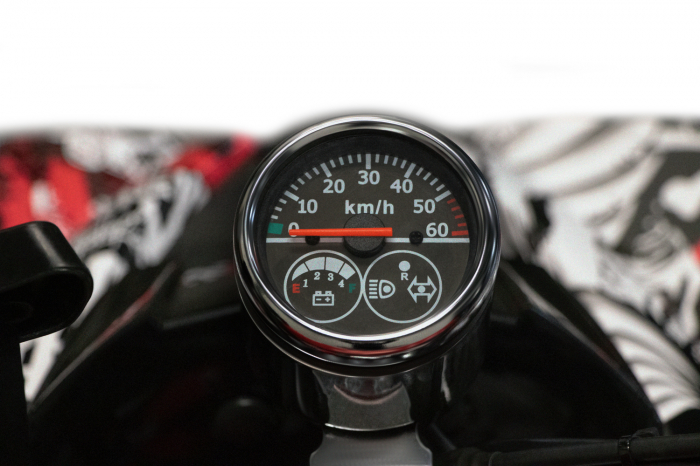 ATV electric NITRO Eco Warrior 1000W putere, baterie 48V 20Ah, Grafiti Alb [10]