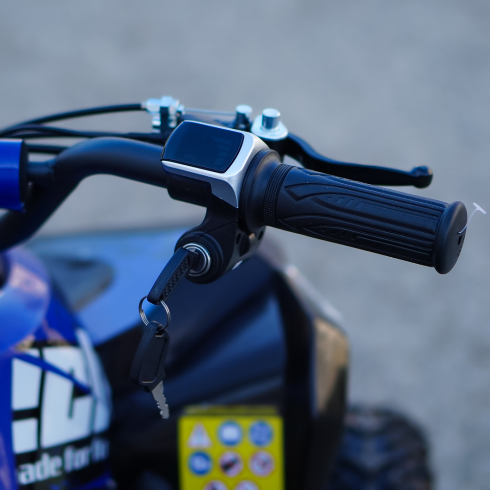 ATV electric Kinder Eco Wolf XXL 1200W 48V cu 3 viteza 6 inch, culoare albastra [14]