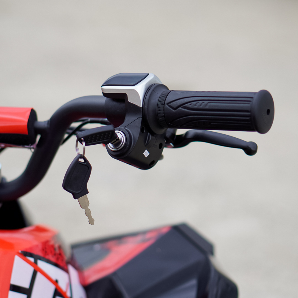 ATV electric Kinder Eco Wolf XXL 1200W 48V cu 3 viteza 6 inch, culoare Rosie [13]