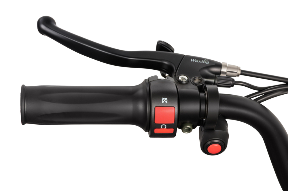 ATV electric NITRO E-QUAD Acanto 1000W cu baterie 36V 8Ah Lithium, culoare albastra [13]