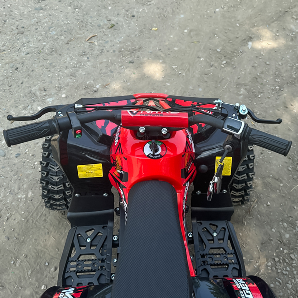 ATV electric NITRO Eco Avenger XXL 1200W 48V cu 3 viteza 6 inch Snowy tyres, Rosie [10]