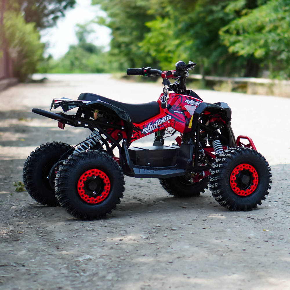 ATV electric NITRO Eco Avenger XXL 1200W 48V cu 3 viteza 6 inch Snowy tyres, Rosie [7]
