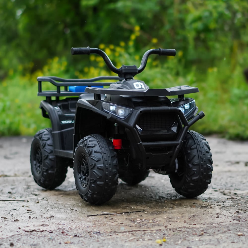 ATV electric pentru copii intre 2 si 5 ani, model Mini Desert [2]