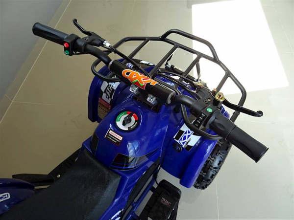 ATV electric pentru copii KXD Torino M5 800W 36V #Albastru [5]