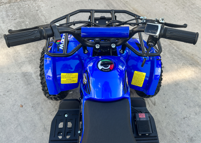 ATV electric pentru copii NITRO Torino Quad 1000W 48V Big Tyre, culoare Albastru [11]