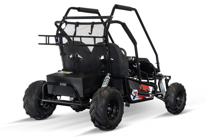 Buggy electric pentru 2 copii Nitro Gokart 2000W [25]