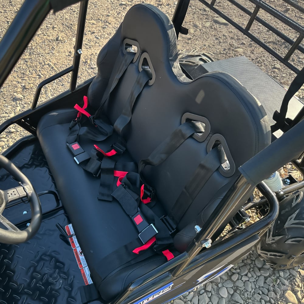 Buggy electric pentru 2 copii Nitro Gokart 2000W [19]