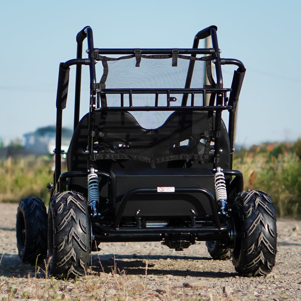 Buggy electric pentru 2 copii Nitro Gokart 2000W [11]
