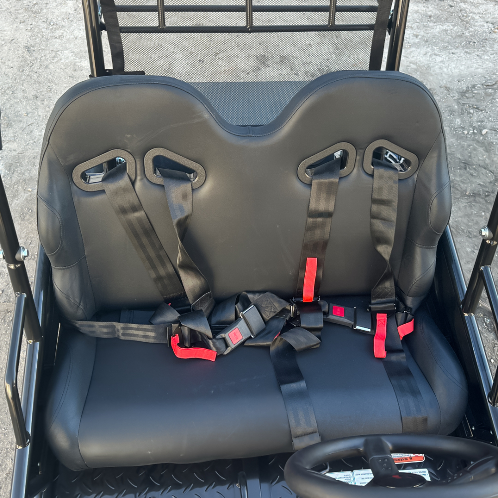 Buggy electric pentru 2 copii Nitro Gokart 2000W [13]
