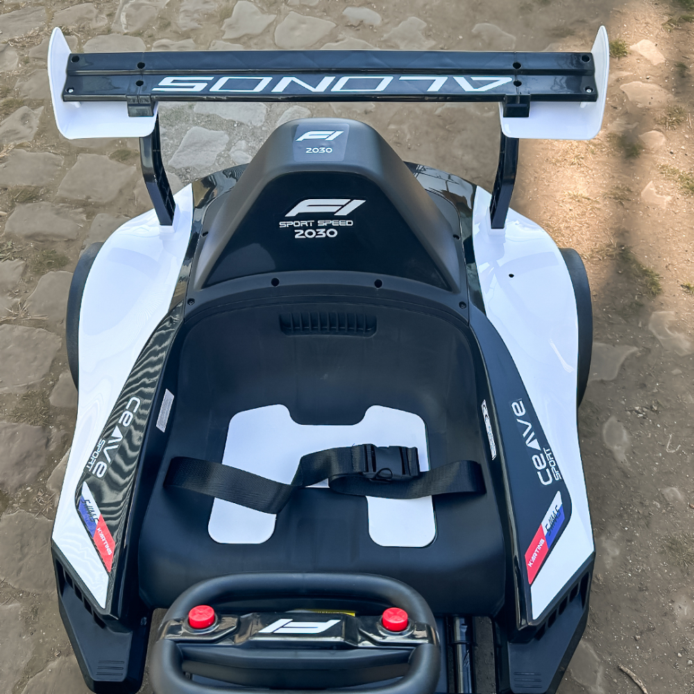 Kart electric pentru copii 3-11 ani, Racing F1, 500W, 24V, telecomanda, cu functie de drift, alb [15]