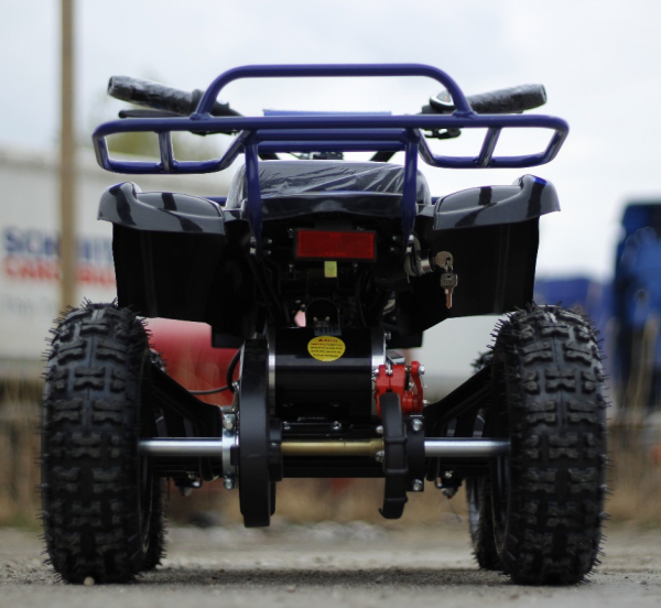 Mini ATV Electric Eco Torino Deluxe 1000W 48V cu 3 Trepte de Viteza #Albastru [5]