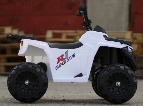 Mini ATV electric Panda BB3201 25W STANDARD #Alb [4]