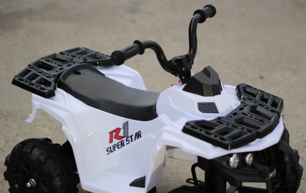 Mini ATV electric Panda BB3201 25W STANDARD #Alb [12]