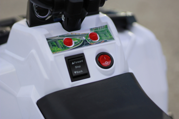 Mini ATV electric Panda BB3201 25W STANDARD #Alb [9]