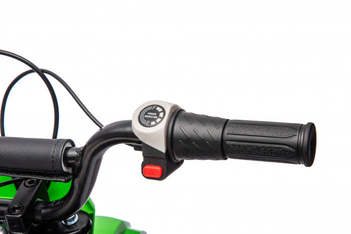 Motocicleta electrica pentru copil 4-9 ani, Kinderauto Enduro 250W 24V, culoare Verde [18]