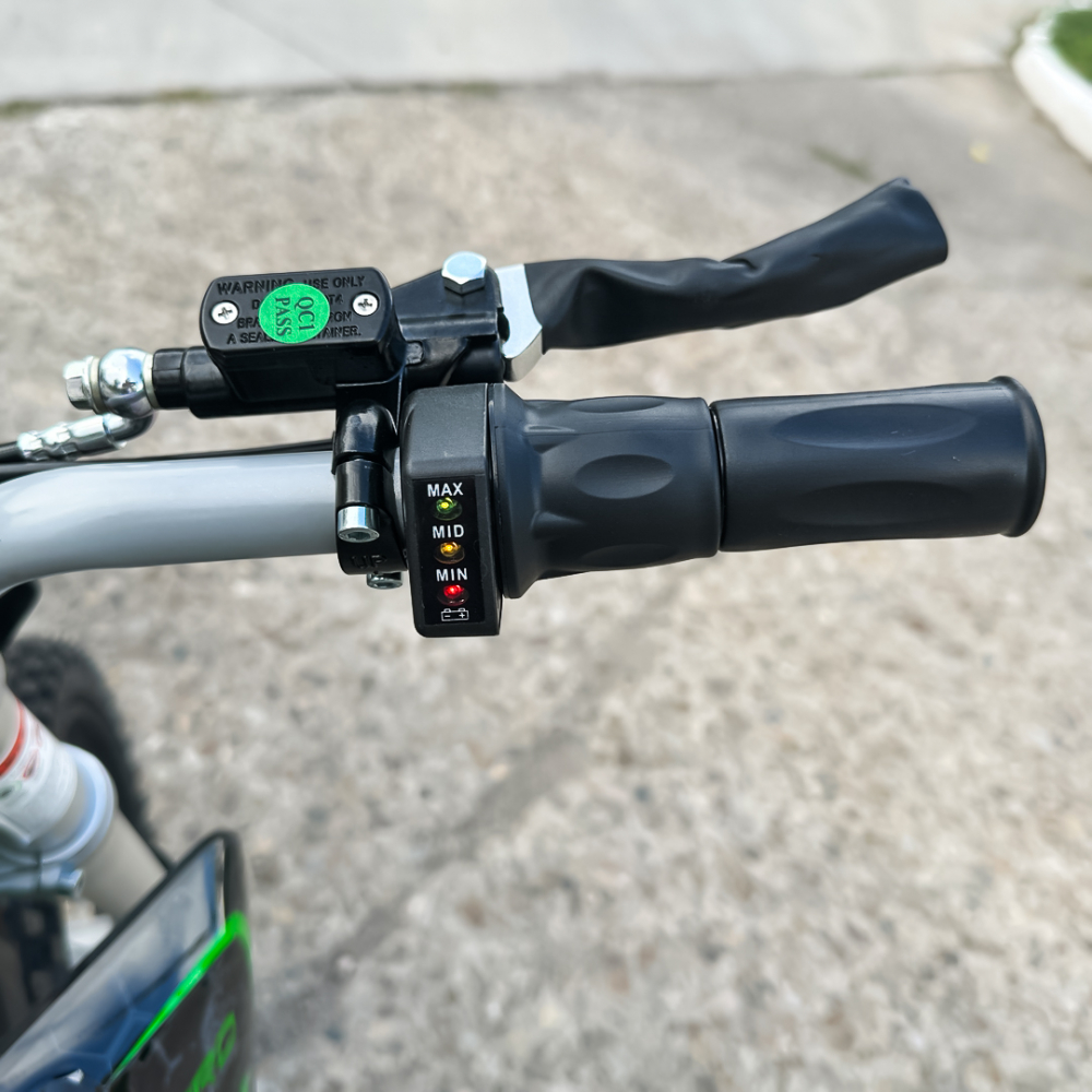 Motocicleta electrica E-Dirtbike Serval VX 1600W 14/12 48V 15Ah Lithiu ION, culoare Verde [14]