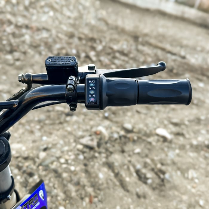 Motocicleta electrica Eco Serval PRIME 1200W 12/10 48V 15Ah Lithiu ION, culoare albastra [12]