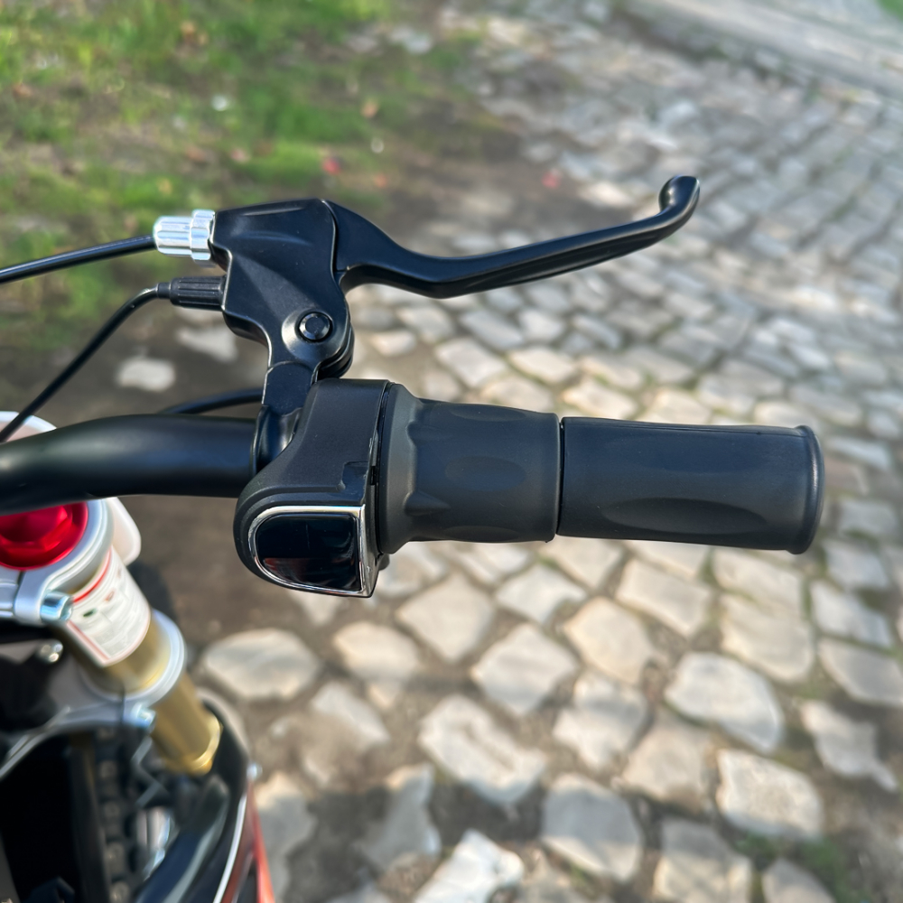 Motocicleta electrica Eco Tiger 1000W 36V 12/10 #Portocaliu [10]