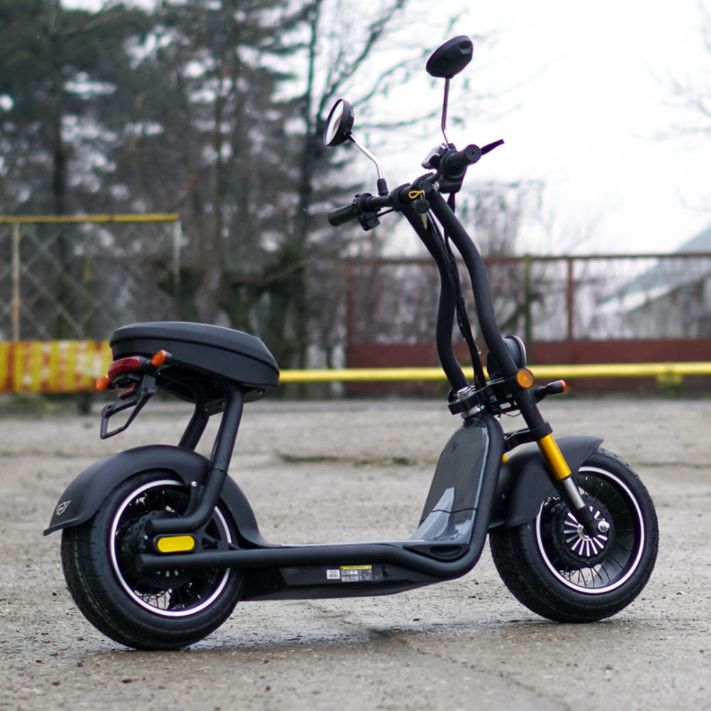 Scuter electric pentru adulti Solley Mini F1, 1000W putere, baterie Li-Ion 48V 13Ah, culoare neagra [8]