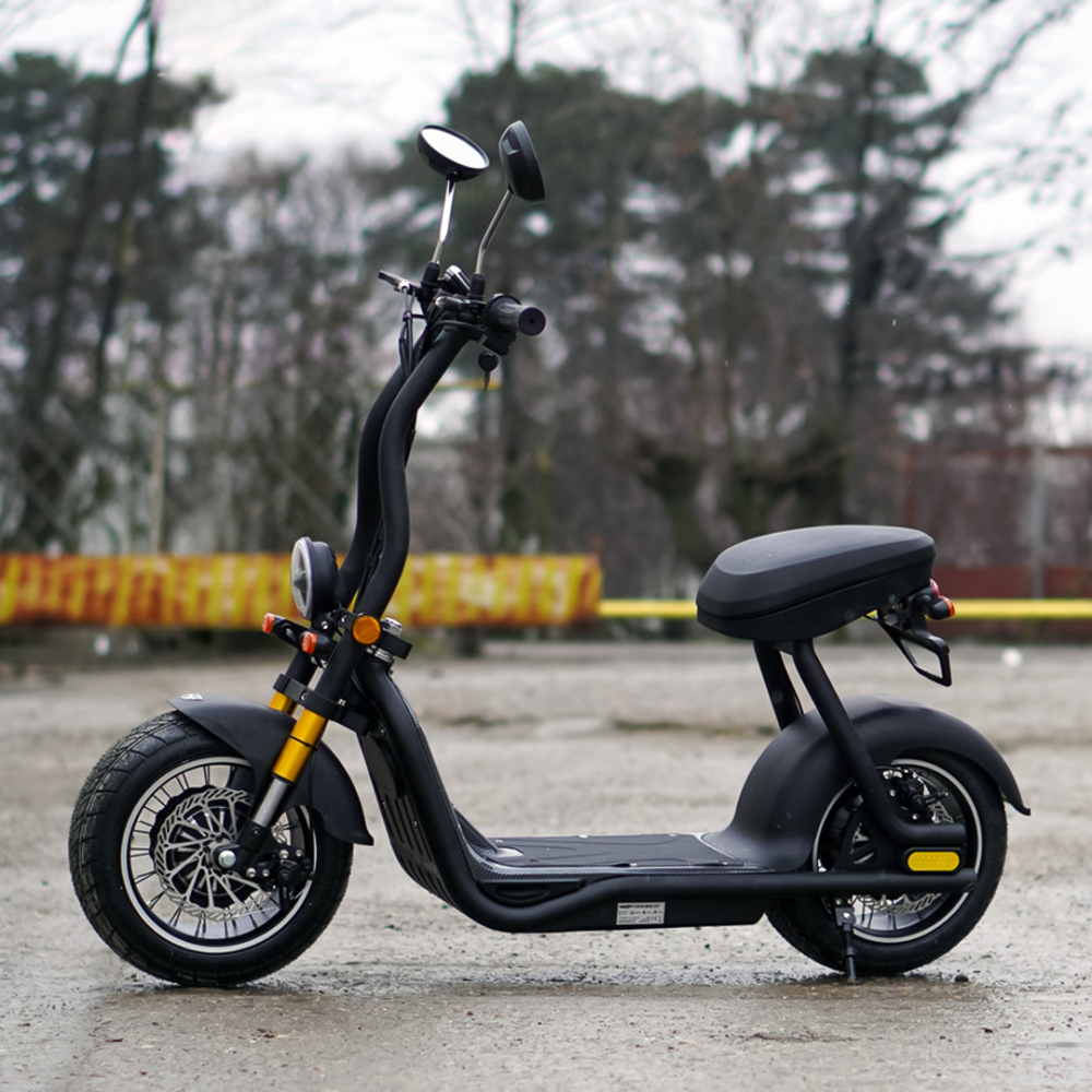 Scuter electric pentru adulti Solley Mini F1, 1000W putere, baterie Li-Ion 48V 13Ah, culoare neagra [3]