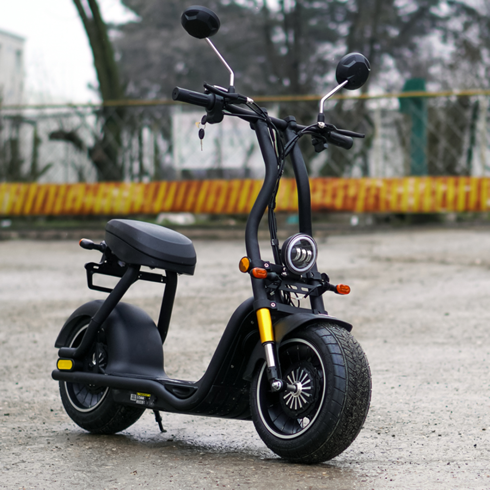 Scuter electric pentru adulti Solley Mini F1, 1000W putere, baterie Li-Ion 48V 13Ah, culoare neagra [10]