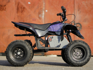Mini ATV electric Pentru copii NITRO Eco Trio Quad 350W 24V #Albastru [6]