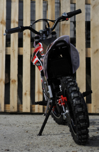 Mini Motocicleta Eco Ghepard 500W 24V #Rosu [4]