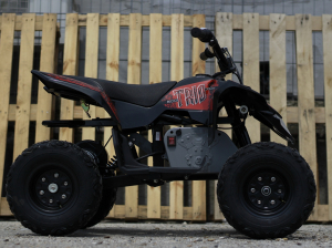 Mini ATV electric Pentru copii NITRO Eco Trio Quad 350W 24V #Rosu [3]
