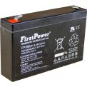 Acumulator 6V 9Ah pentru masinuta electrica [2]