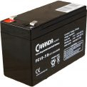 Acumulator 12V 7.2Ah pentru masinuta electrica [2]