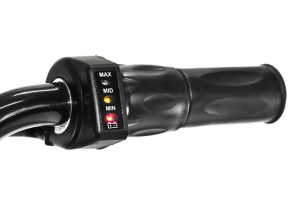 Mini Motocicleta electrica cu roti ajutatore, NITRO ECO Flee 300W 24V, culoare Albastru [7]