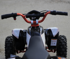 ATV electric Deluxe ECO Maddox 1000W 48V cu 3 Viteze #Orange [6]
