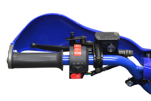 ATV electric ECO Bigfoot 800W 36V cu Baterie Detasabila #Albastru [11]