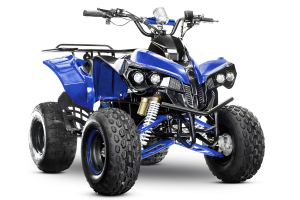 ATV & UTV Electrice - ATV electric Eco Warrior 1000W 48V 20Ah #Albastru