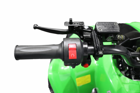 ATV electric NITRO ecoWarrior 1000W 48V 20Ah, roti 7 inch, culoare Verde [9]