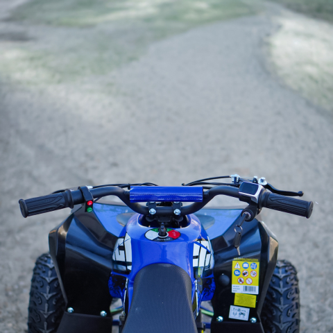 ATV electric Kinder Eco Wolf XXL 1200W 48V cu 3 viteza 6 inch, culoare albastra [11]