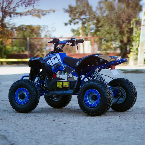 ATV electric Kinder Eco Wolf XXL 1200W 48V cu 3 viteza 6 inch, culoare albastra [8]