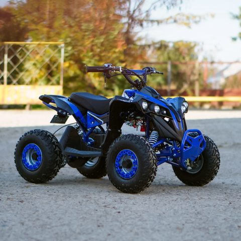 ATV electric Kinder Eco Wolf XXL 1200W 48V cu 3 viteza 6 inch, culoare albastra [3]